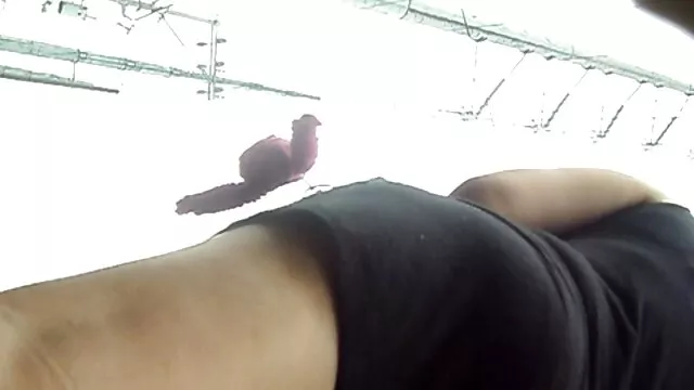 ホットティーンとコックのお尻いじめや性の玩具 やさしい エッチ 動画