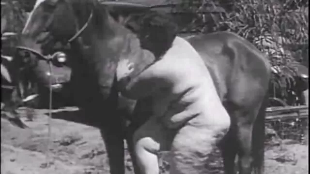 Bumsbuero角質ドイツの秘書は倒錯同僚と犯さ-LETSDOEIT 月野 帯 人 エッチ